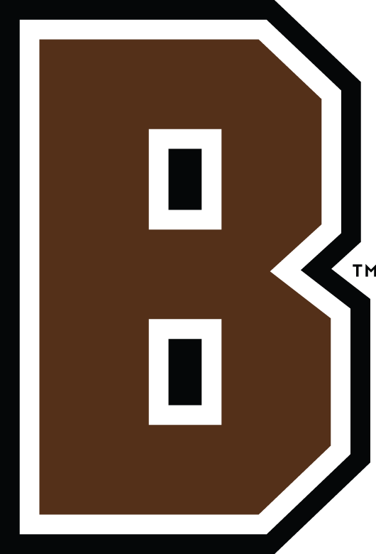 Brown Bears 2003-Pres Alternate Logo v2 DIY iron on transfer (heat transfer)